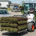 Bobcat L28 Small Articulated Loader delivering sod