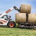 Bobcat TL623 Telehandler loading hay