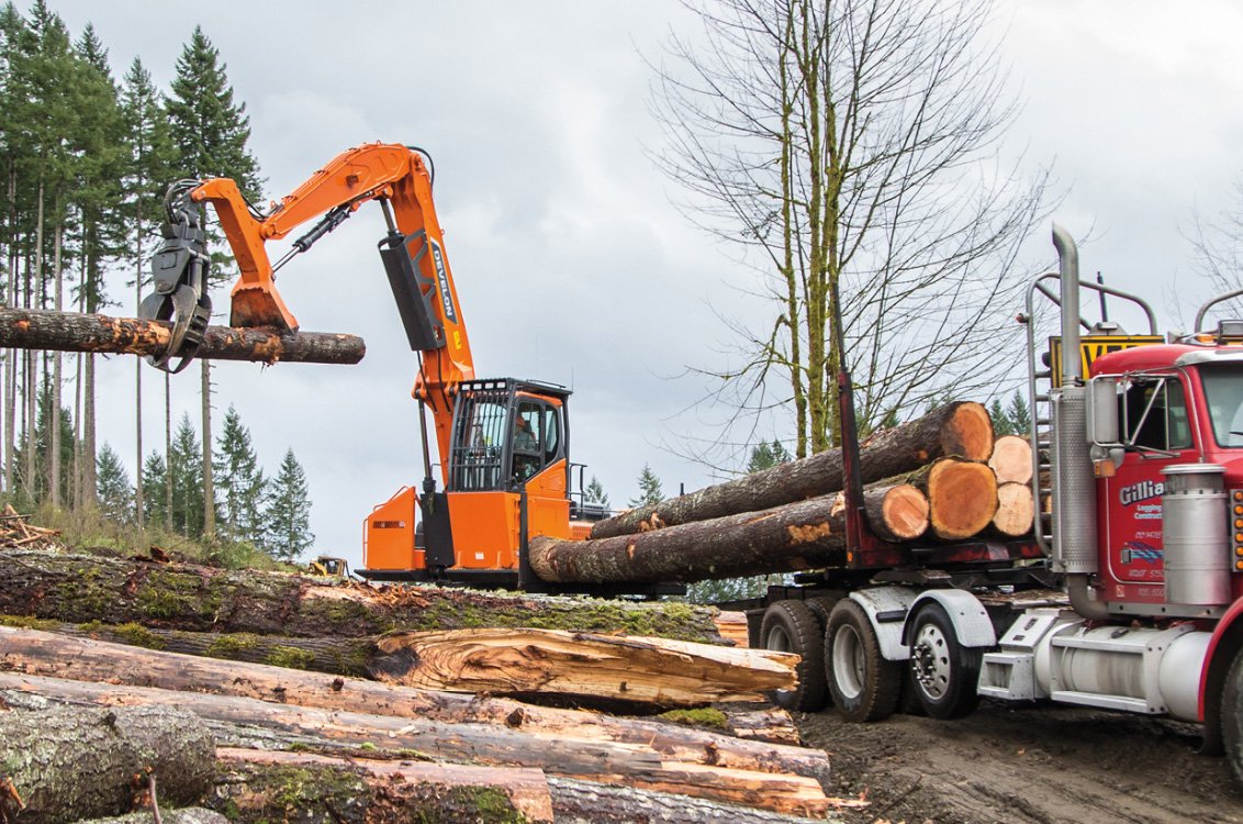 DEVELON DX300LL-7 loading a logging truck