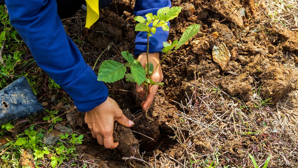 Wesgroup Equipment's Commitment to Sustainability Wesgroup Equipment's Commitment to Sustainability