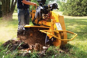 What to Know When Picking a Stump Grinder for Your Needs What to Know When Picking a Stump Grinder for Your Needs