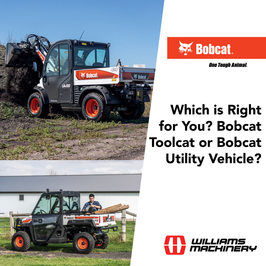 For work in maintaining parks, farms, landscaping, golf courses, and more, a Bobcat Toolcat and a Bobcat Utility Vehicle are exceptional choices. Read about which of these is best for you in our comparison, brought to you by #WilliamsMachinery equipment experts. Link in bio.

#Bobcat #bobcatequipment #toolcat #utilityvehicle