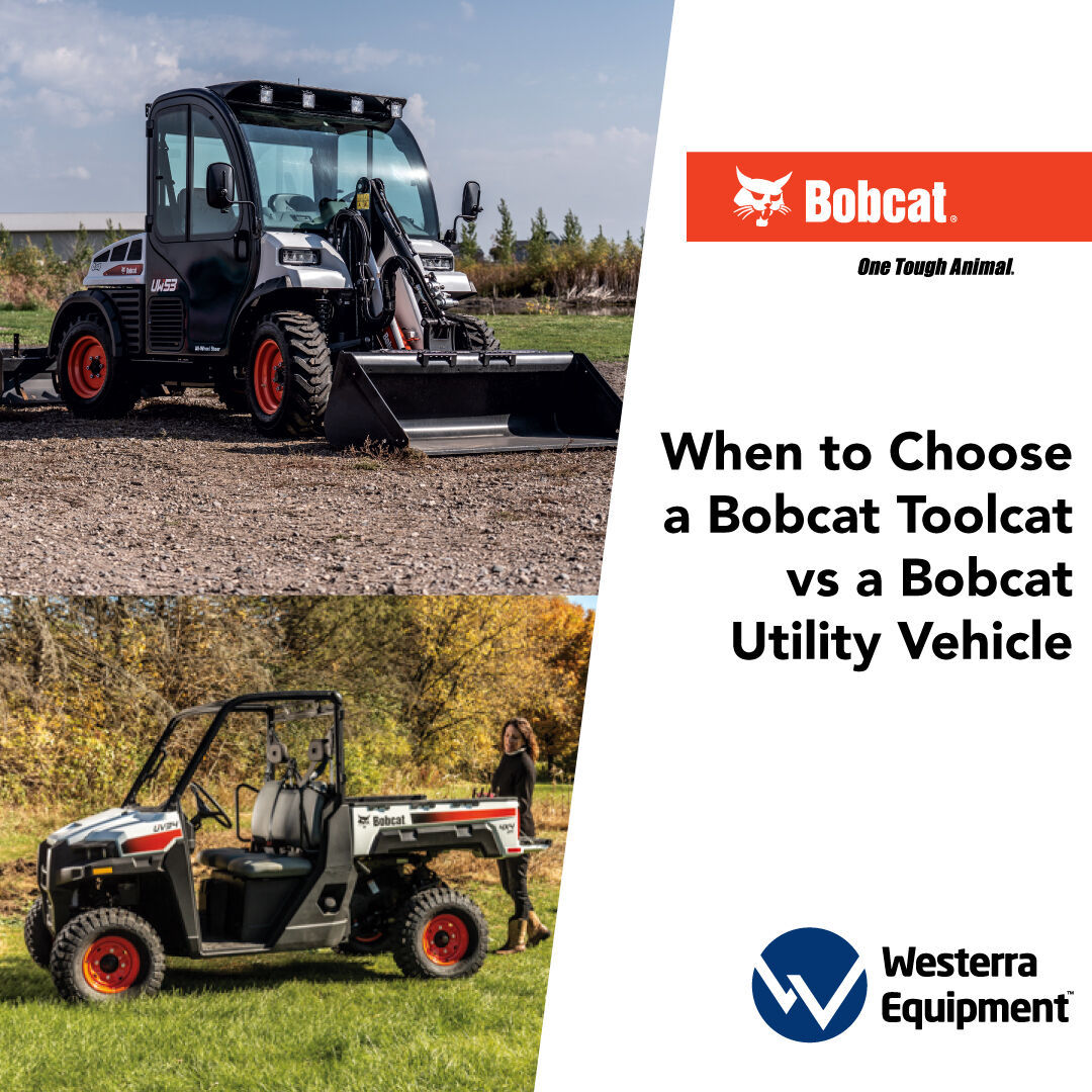 Looking for a powerful and versatile machine to knock out your agriculture jobs? Our equipment experts put together this guide comparing a Bobcat Toolcat and a Bobcat Utility Vehicle?
Read more in our link in bio.

#Bobcat #bobcatequipment #westerraequipment #toolcat #utilityvehicle
